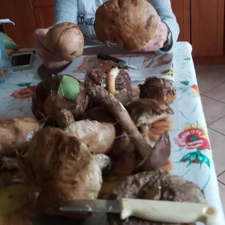 Zacisze Apartman Dominowo